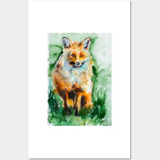 Red fox Posters and Art